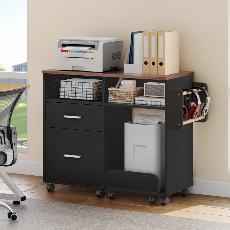 80cm Wide 2 -Drawer Mobile File Cabinet, Black