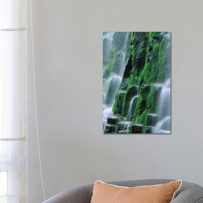 USA, Oregon, Three Sisters Wilderness. Close-up Of Proxy Falls. by Jaynes Gallery - Wrapped Canvas Gallery-Wrapped Canvas Giclée
