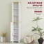 Freestanding Bathroom Cabinet