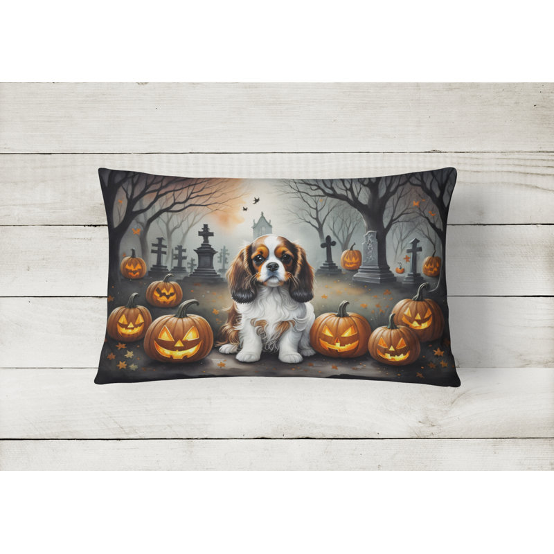 Other/No Pattern Outdoor Throw Pillow