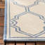 Duren Geometric Hand Woven Indoor / Outdoor Area Rug-33959787