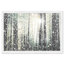 «Magical Forest», reproduction d'impression encadrée-1464712468-1464712473