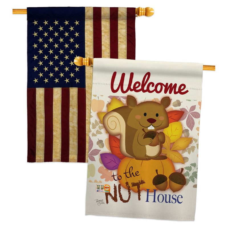 Drapeaux 40 x 28 pi