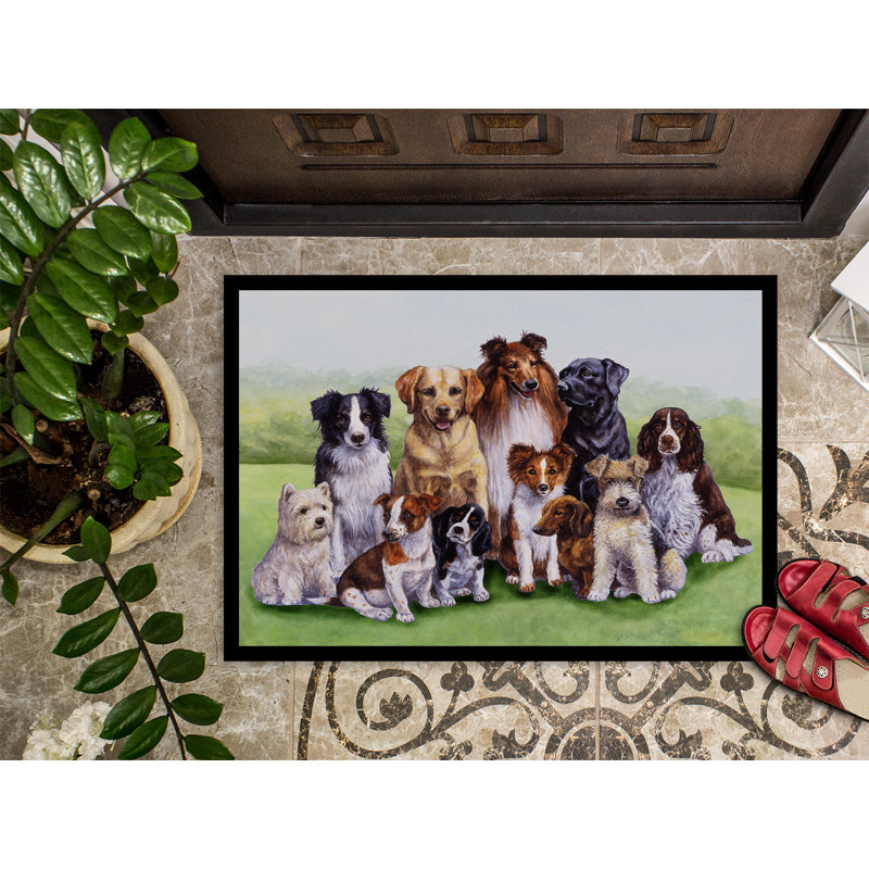Paillasson d’extérieur antidérapant à printemps pour chiens trinway, Rectangle 1 pi 6 po x 2 pi 3 po