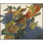 Early Autumn Foliage Wall Art & Signage