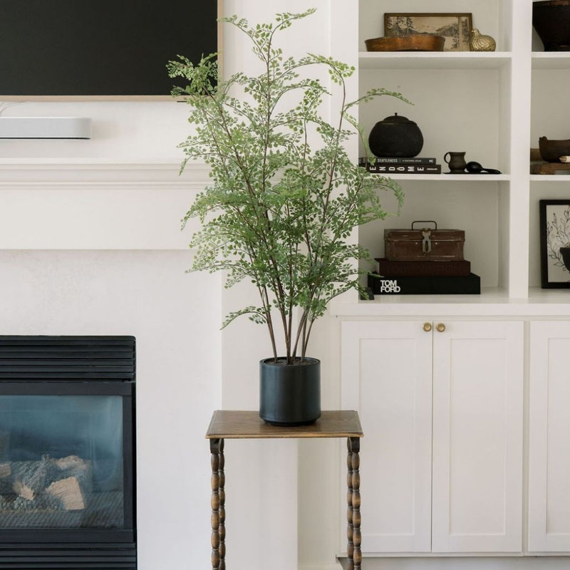 Faux Maidenhair Fern