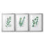 Freshly Picked I - Ensemble de 3 reproductions de cadres photo-456555363-456555364