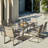 Takeia 7-Piece Rectangular Metal Dining Set 