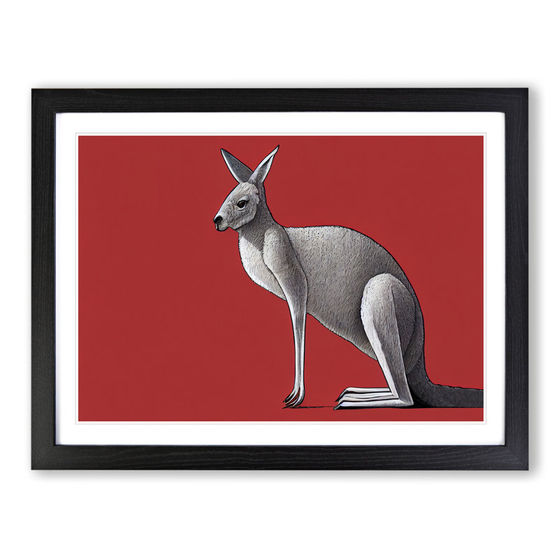 Kangaroo - Framed Print, Black, 46cm H x 64cm W x 2cm D