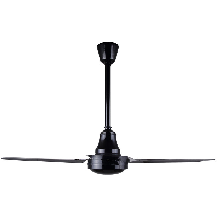 Doyle 48'' Ceiling Fan