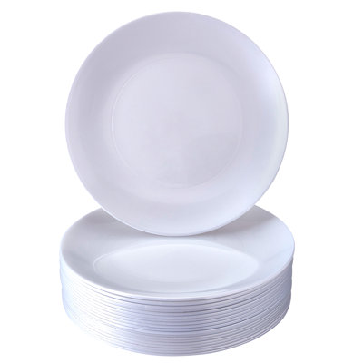 Disposable Dinner Plate