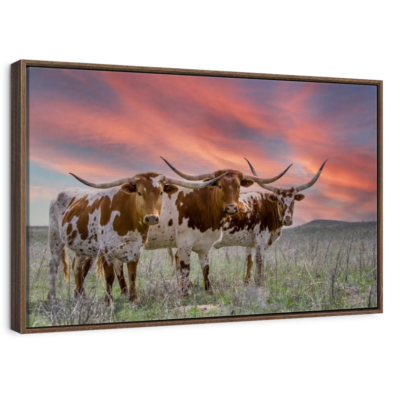 Trois Longhorns du Texas, 13 po x 9 po, Cadre flottant noyer
