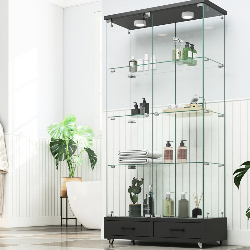 Multifunctional Glass Case With 2 - Door, 4 Shelves, And Adjustable Lighting For Different Rooms Office Drawers,, Black