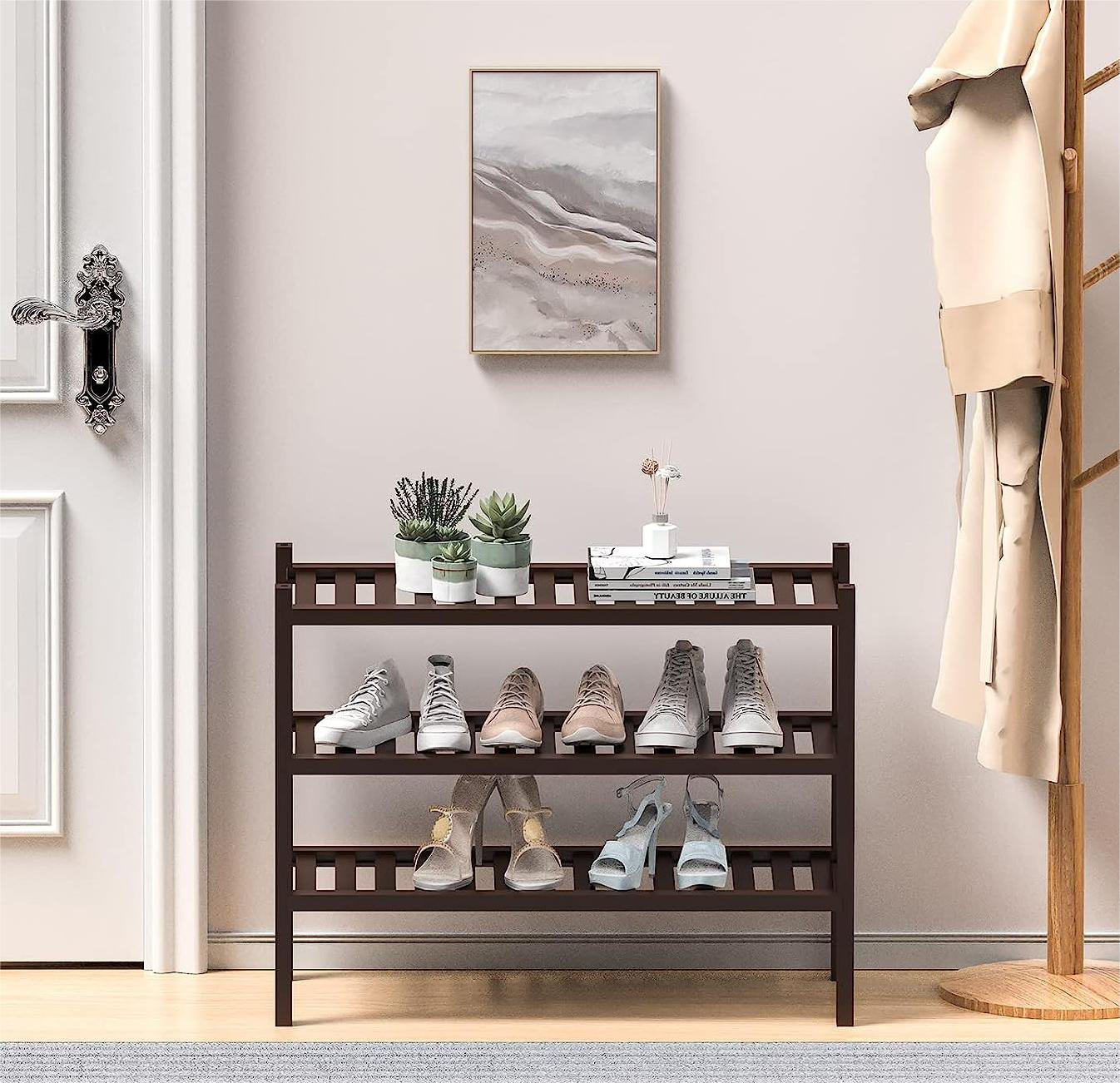 Wayfair discount shoe rack