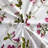 Modern & Contemporary Rayon Floral Duvet Cover-23814490
