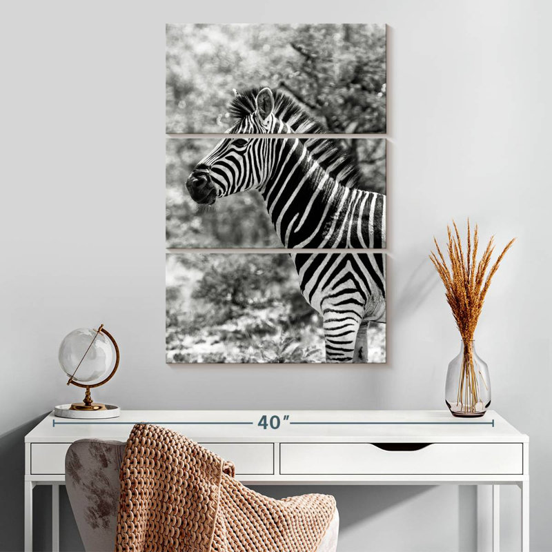 Brampt BW Portrait of Burchell's Zebra II, H 32 po x l 20 po