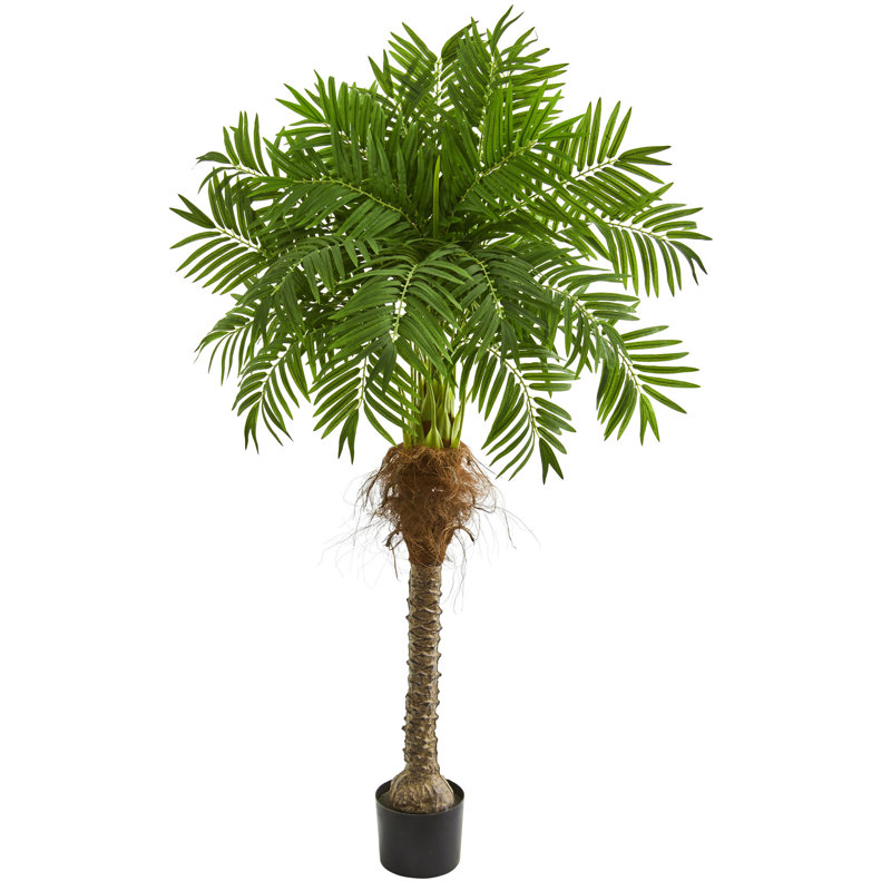 Faux Palm Tree in Planter, 80" H x 24" W x 20" D