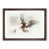 Walnut Framed selected