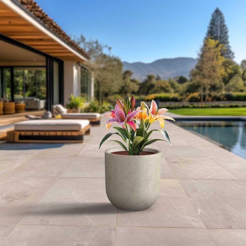 Large (Upgraded Interior) Concrete Round Planter / Pot With Drainage Holes, 16.54" H x 16.54" W x 16.54" D