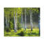 No Frame Print on Canvas-1143165871