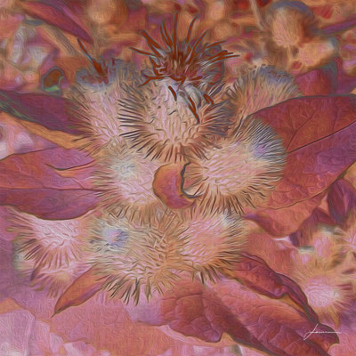 Carreaux Prickley III