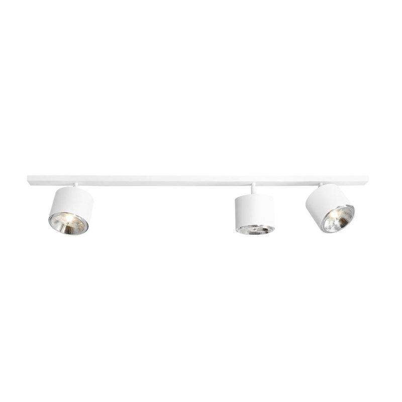 Ebna Ceiling Spotlight