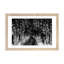 New Path I - noir et blanc inversé-1489831912-1489831926