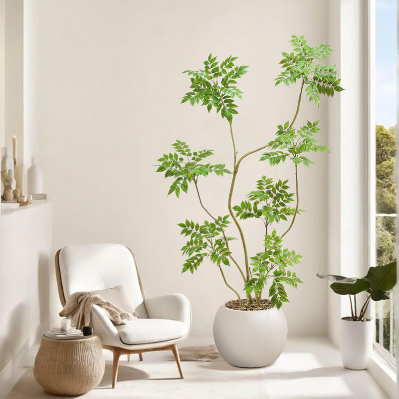 180cm Plant