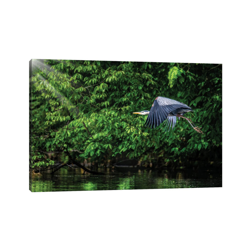 Big Blue In Green by David Gardiner - Wrapped Canvas Print, 30.48cm H x 45.72cm W