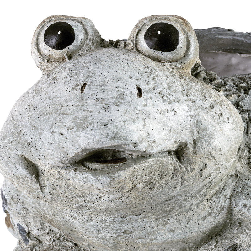 Pot de fleurs statue magnesia grenouille Willacoochee