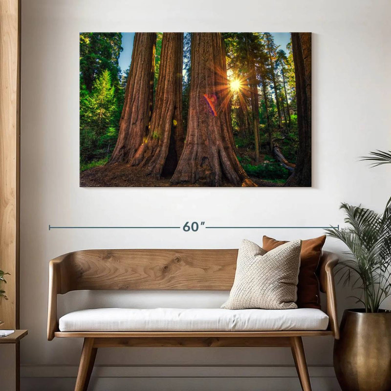 Forêt Harnek Grant Grove, H 32 po x l 48 po