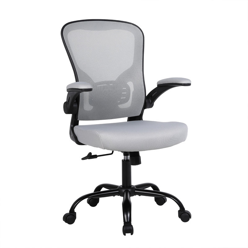Chaise de bureau ergonomique Oetjen, Gris