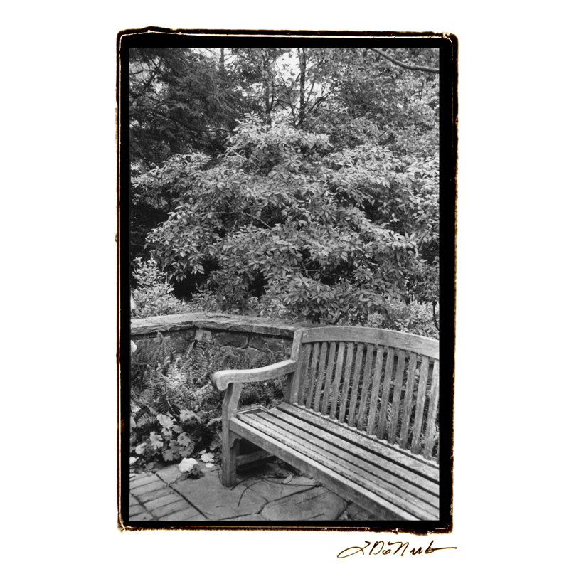 Garden Respite I by Laura DeNardo - Wrapped Canvas Print, 46cm H x 30cm W 
