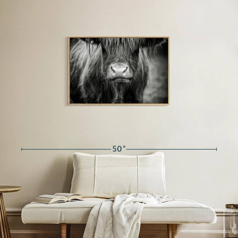 Vache Highland, Cadre flottant en bois naturel, 31 po x 21 po