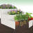 Galvanized Raised Garden Bed Kit – 61x42x31 in Oval Outdoor Planter Box for Vegetables, Herbs & Flowers, Modular 3 in-1 Design, Open Base, Ground-Connected Raised Beds for Gardening, Green-987381138