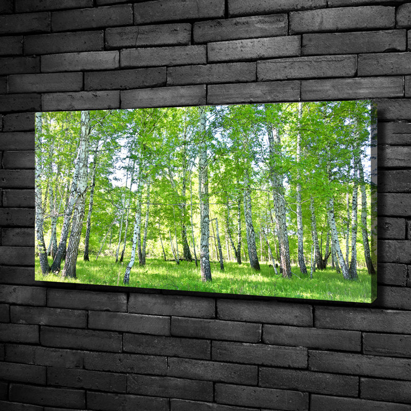 Birches - No Frame Print on Canvas
