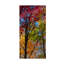 « color blend », reproduction de photo sur toile tendue-31973544