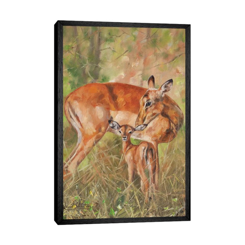 Impala And Young by David Stribbling - Gallery-Wrapped Canvas Giclée on Canvas, 66.04cm H x 45.72cm W, Black Floater Frame