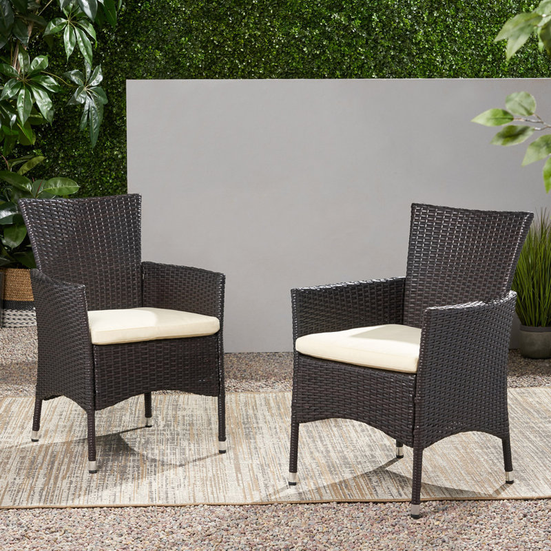 Ensemble de 2 chaises d'extérieur en osier pour l'extérieur