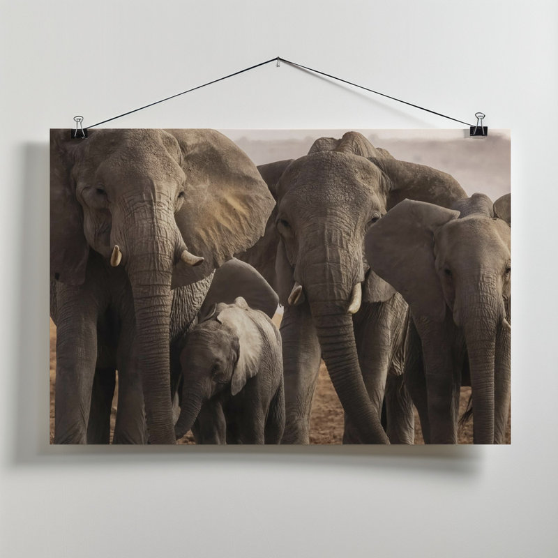 Wrapped Canvas Print