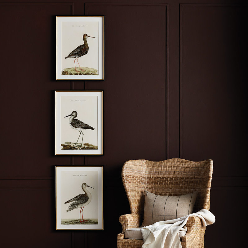 ETUDE OISEAUX WANDERING, ENSEMBLE DE 3