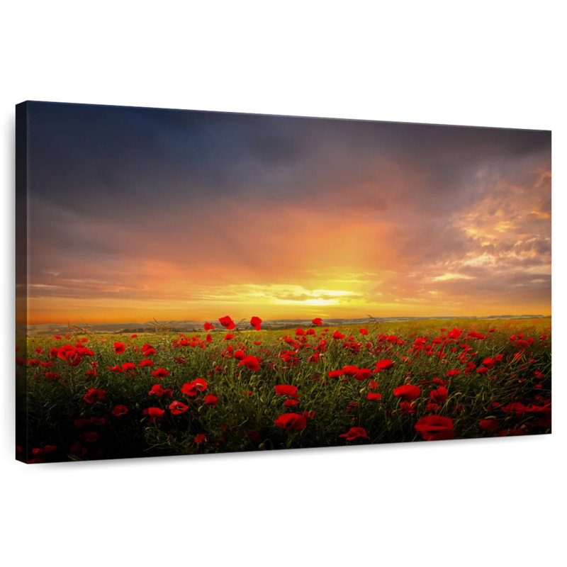 Alvord Denmark Poppy Field, 30" H x 45" W