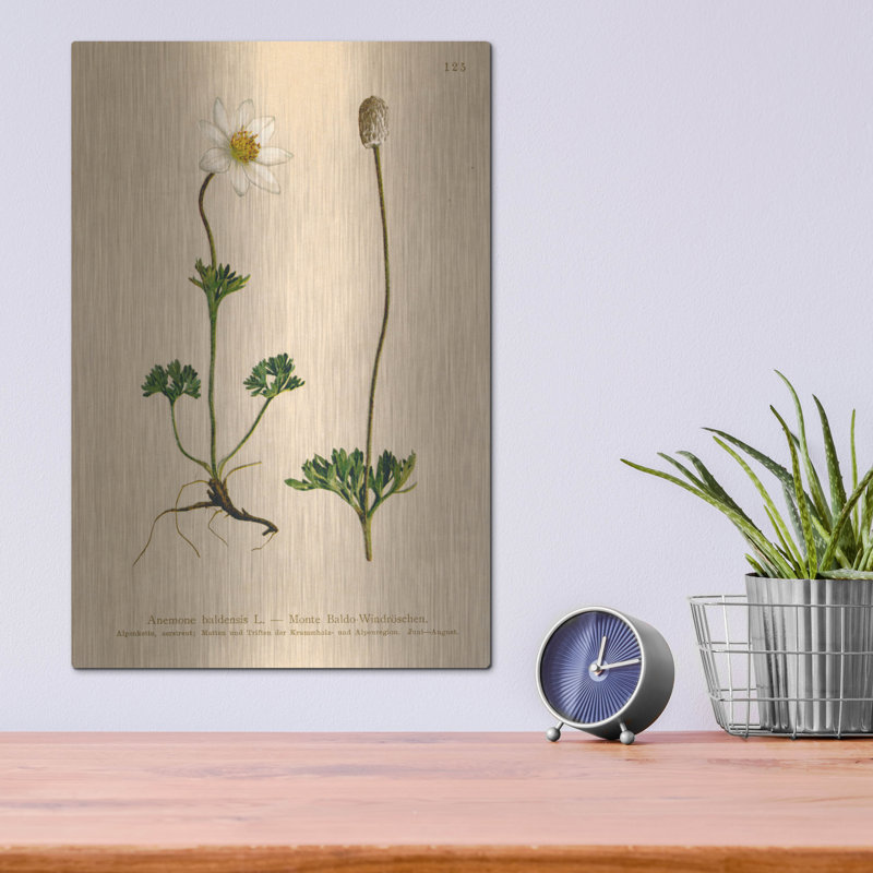 Art mural en métal luxueux «Anemone Baldensis» par Art Licensing Studio, 12 po x 16 po