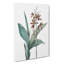 Limodorum Orchid Flowers by Pierre-Joseph Redoute - Wrapped Canvas-55365056