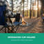 Folding Camping Chair-126691388-126691389