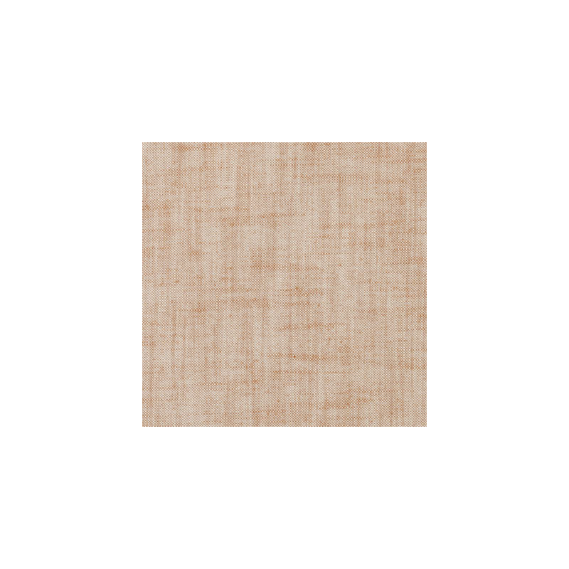 Tissu Kennewick, Espresso
