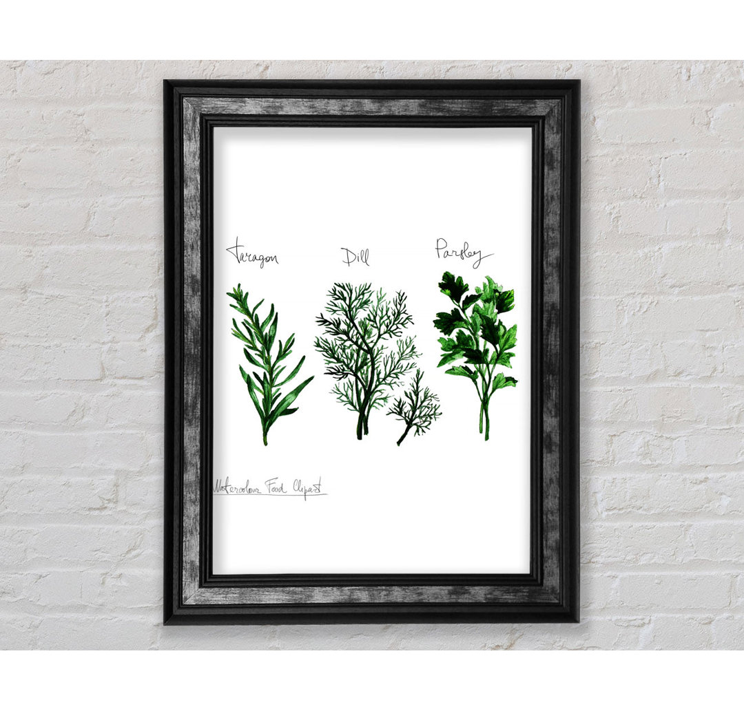 Herb Selection 1 - Einzelne Bilderrahmen Kunstdrucke