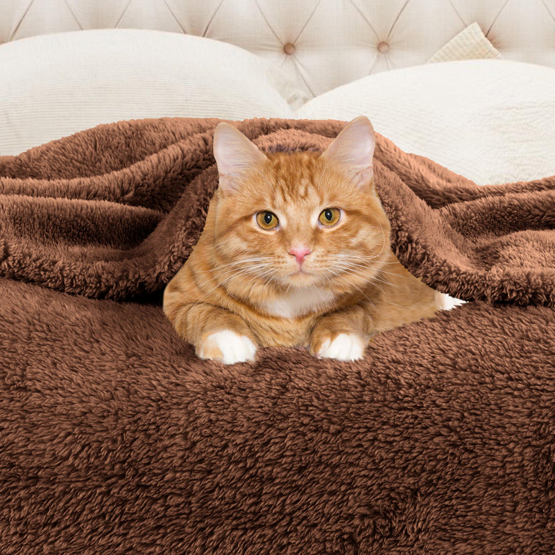 Chocolate Medium Weight Plush Fleece Throw Blanket