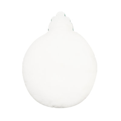 Coussin 17 pi x 14 po Festn