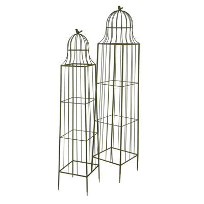 Meryl Plant Trellis Set Of 2, Garden Tall Cage Design, Metal